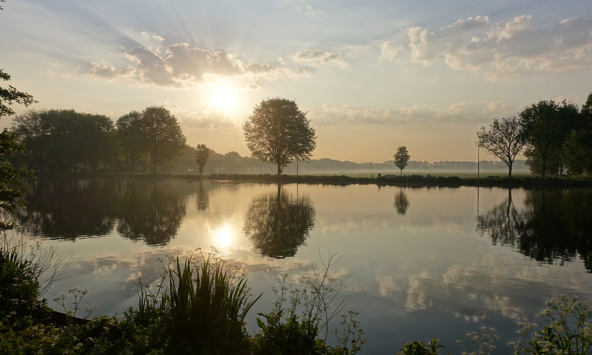 Amstel foto Mindfulness Hans van Male